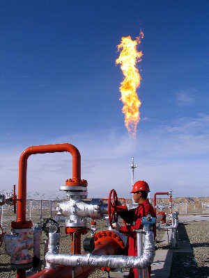 49a70d39c318d554c3116232f425d14c_5762923