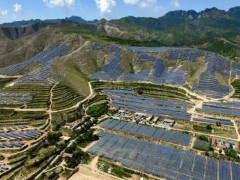 龍源電力河北石家莊200兆瓦光伏項目獲備案！